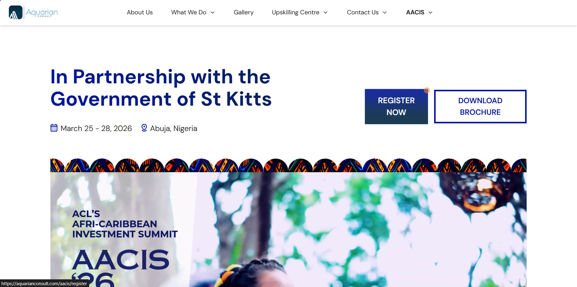 AACIS Consulting Website